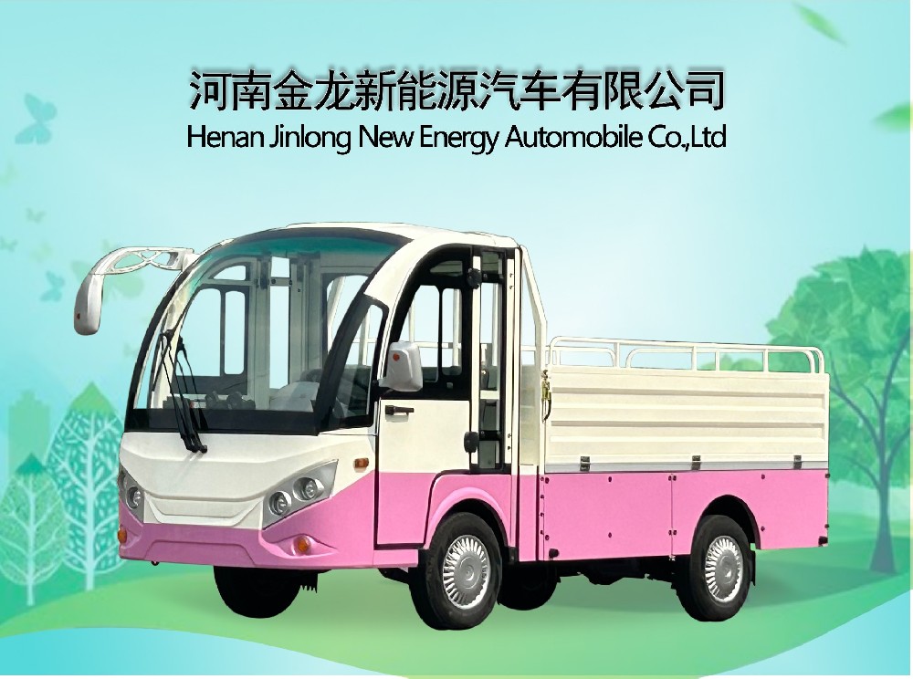 JLGD型-1F 2座电动货车